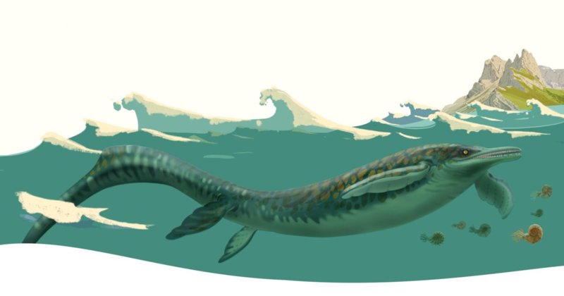 Coverzeichnung, Sara Welponer Coverzeichnung, Sara Welponer