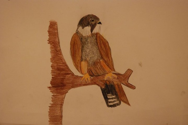 Un di nuef dessënies che à venciù Un di nuef dessënies che à venciù